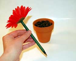 flower pot pen